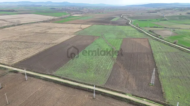 Ege Emlak'tan Karlı Köyün Merasında Satılık Fırsat Tarla 3
