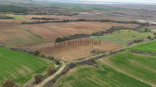 Ege Emlak'tan Karlı Köy'de 10.604 M2 Satılık Tarla 3