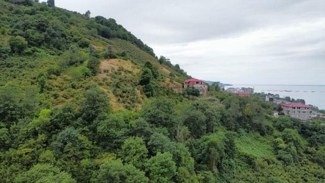 Trabzon Arsin'de Satılık Arsa 3
