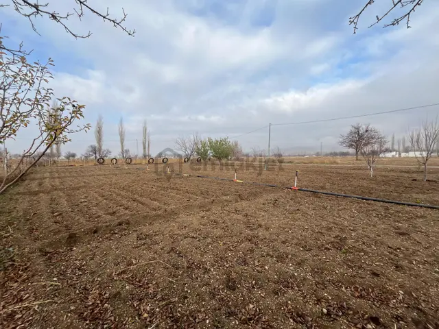 Öz Gaye Emlaktan Develi Sindelhöyük Kadanbaş Mevkindev Satılık Hobi Bahçesi 5