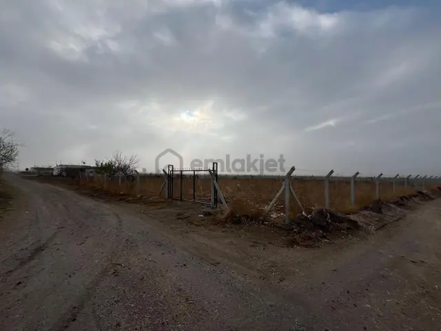 Öz Gaye Emlaktan Develi Sindelhöyük Kadanbaş Mevkindev Satılık Hobi Bahçesi 4