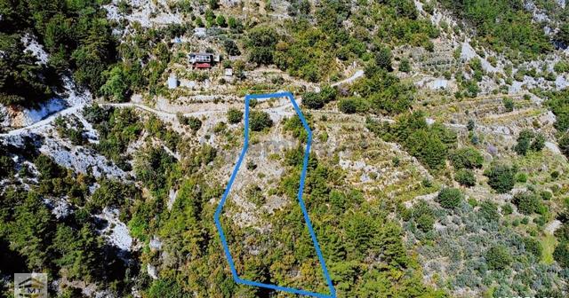 Alanya Bademağacı Mahallesi Satılık Manzaralı Tarla 5