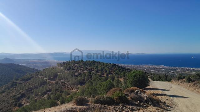 Güzelbahçe Yaka Mahallesi 6523 M2 Deniz Ve Doğa Manzaralı Tarla 5