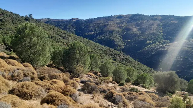 Güzelbahçe Yaka Mahallesi 6523 M2 Deniz Ve Doğa Manzaralı Tarla Güzelbahçe Yaka Mahallesi 6523 M2 Deniz Ve Doğa Manzaralı Tarla