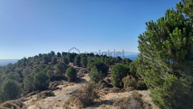 Güzelbahçe Yaka Mahallesi 6523 M2 Deniz Ve Doğa Manzaralı Tarla 3