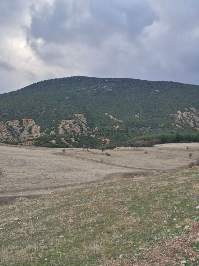 11660 M2 3tapu Isparta Gönen De 3