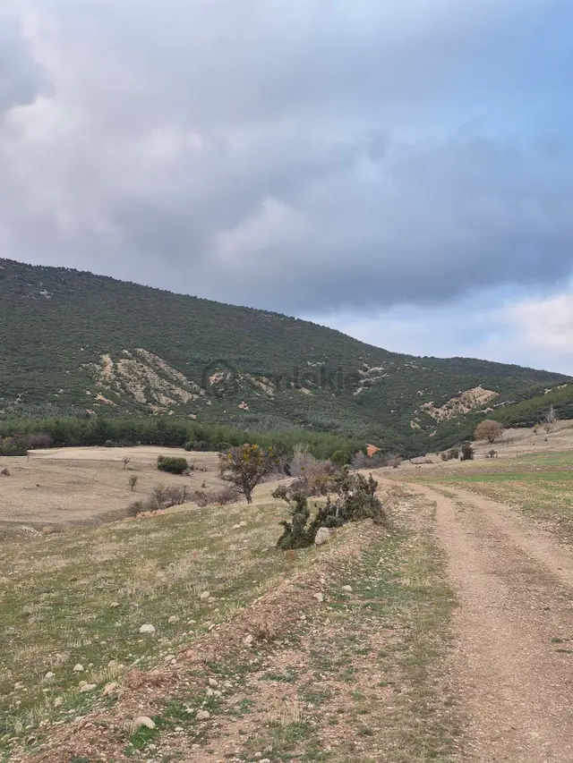 11660 M2 3tapu Isparta Gönen De 1