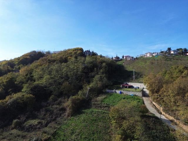 Trabzon Yeşilhisar'da Satılık Arazi 4
