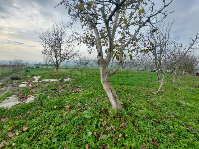 Mudanya Çayönü Teknosab Osb Yakın Satılık Tarla 3