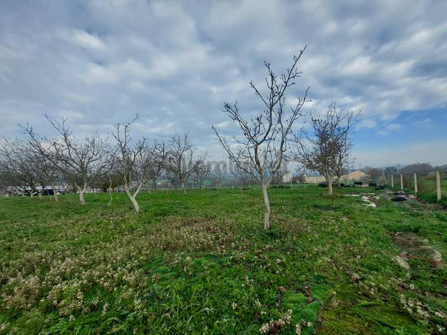 Mudanya Çayönü Teknosab Osb Yakın Satılık Tarla 1
