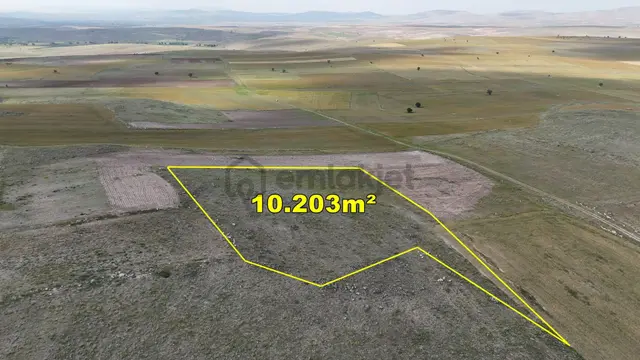 💰 Mega Yatırım: Konya'da 10.203 M² Dev Arazi Uygun Fiyat Garantisiyle! 🔑 2