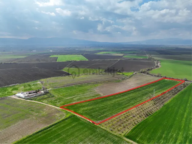 Manisa Şehzadeler Veziroğlu’ Nda Satılık Tarlamız 3