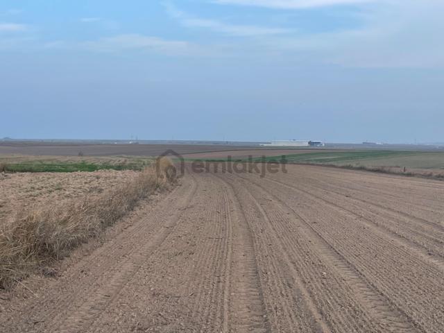 Tekirdağ Saray Beyazköyde Satılık 254 M2 Çaplı Köy Manzaralı Fırsat Arsa 5