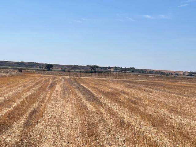 Tekirdağ Hayrabolun’da 938 Metre Arsa Cek Senet Vade Araba Takası Olur 5