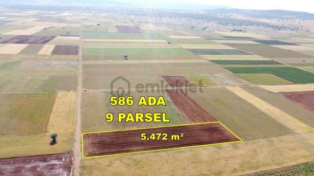 Konya / Akören / Hacılar 5.472 M² Kaçırılmayacak Tarla 1