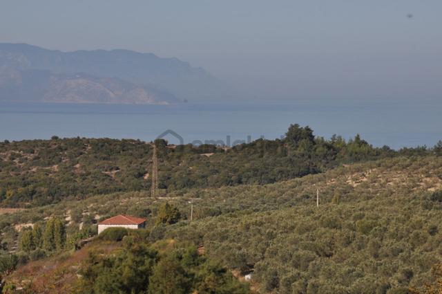 Kuşadası Golf Oteli Yanı Deniz Manzaralı 63 Dönüm Trzm+tic. Arsa 5
