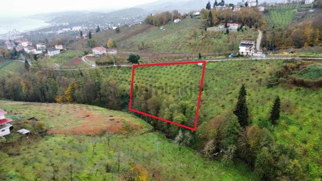 Trabzon Kavalada Satılık Arazi 3