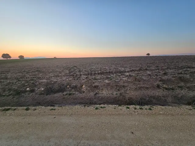 Enez Sultaniçede Satılık Tarla Yol Cepheli 1.463 M² 3