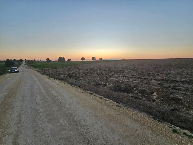 Enez Sultaniçede Satılık Tarla Yol Cepheli 1.463 M² 2