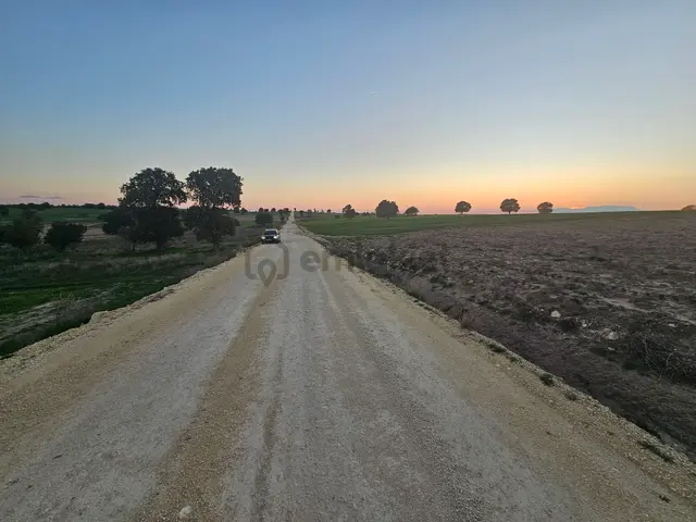 Enez Sultaniçede Satılık Tarla Yol Cepheli 1.463 M² Enez Sultaniçede Satılık Tarla Yol Cepheli 1.463 M²