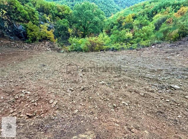 Orhan Mahallesinde Satılık 2.015 M Tarla Orhan Mahallesinde Satılık 2.015 M Tarla