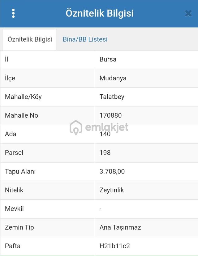Tirilye'de Tepeden Denizi Ve Tirilye'yi Gören 3.708 M2 Tek Tapulu Satılık Zeytinlik 3