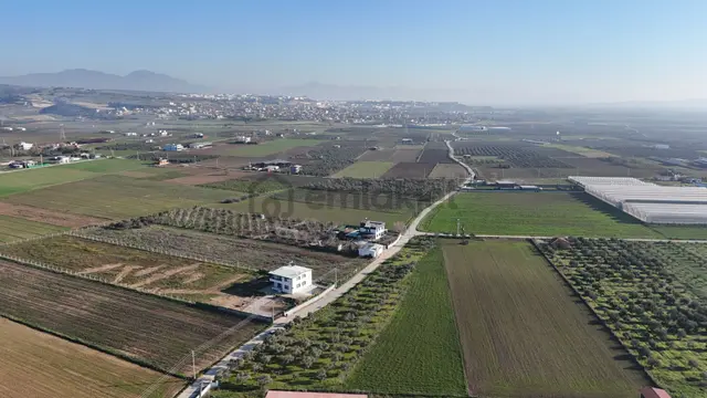 İzmir Menderes Tekelide 7 Dönüm Arsa 3+1 Ev Elektrik Su Kiralık Çiftlik 2