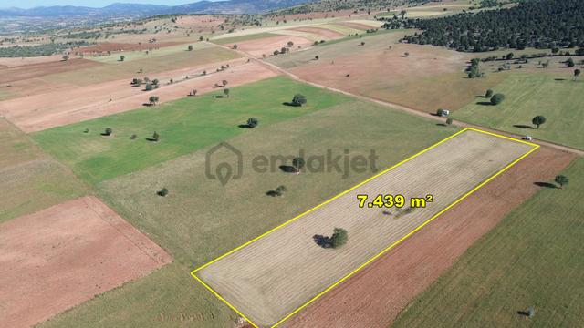Konya / Akören / Alan 7.439 M² Müstakil Verimli Tarla 3