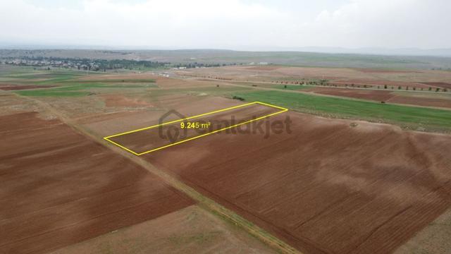 Konya / Akören / Orhaniye'de 9.245 M² Müstakil Tapu Kaçırılmayacak Tarla 5