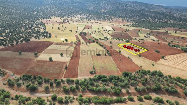 Konya / Akören / Karahüyük 4.696 M² Tek Tapu Müstakil Hesaplı Tarla 5