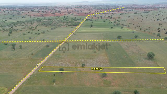 Konya Akören Ağalar'da Müstakil Tapulu 2729 M² Tarla 3