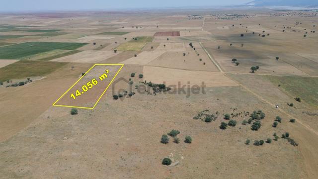 Konya / Akören / Karahüyük Mahallesinde 14.056 M² Müstakil Tapulu Tarla 1