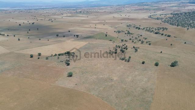 Konya / Akören / Karahüyük Mahallesinde 14.056 M² Müstakil Tapulu Tarla 2