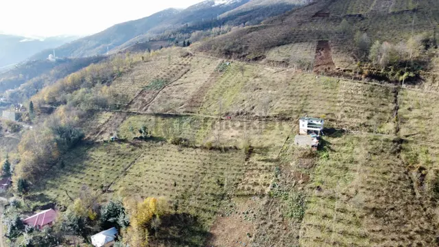 Trabzon Akçaabat'ta Satılık Arazi Trabzon Akçaabat'ta Satılık Arazi