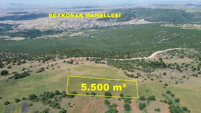 Konya / Ilgın / Mahmuthisar Mahallesinde 5.500 M² Müstakil Tapulu Tarla 1