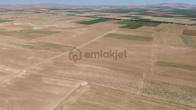 Karaman / Kazımkarabekir / Özyurt Mahallesinde 8.561 M² Müstakil Tapulu 1