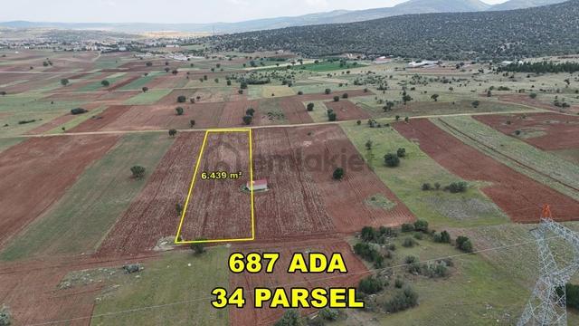 Konya / Akören Merkez2de 6.439 M² Tek Tapu Tarla 1