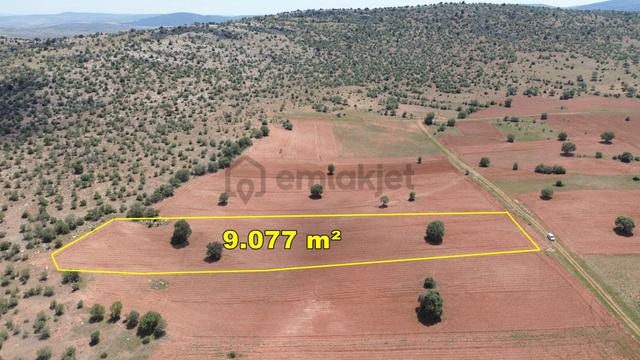 Akören Hacılar Da 9.077 M² Müstakil Tapulu Arazi 5