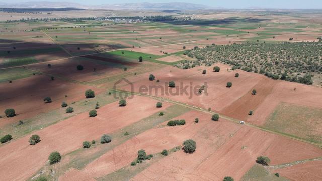 Akören Hacılar Da 9.077 M² Müstakil Tapulu Arazi 2
