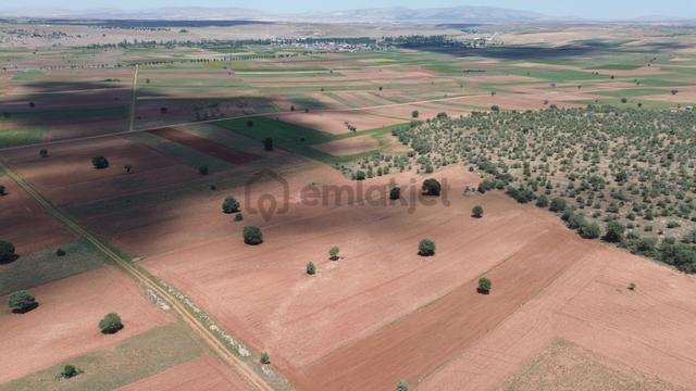 Akören Hacılar Da 9.077 M² Müstakil Tapulu Arazi 3