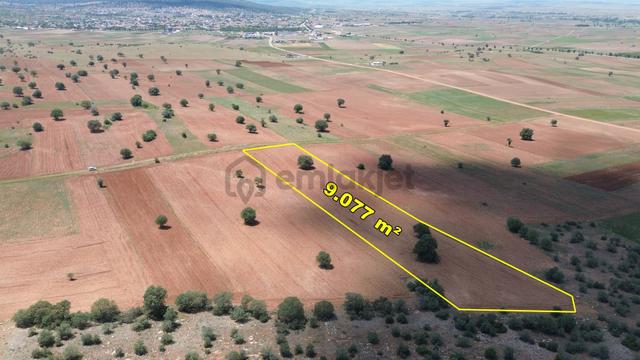 Akören Hacılar Da 9.077 M² Müstakil Tapulu Arazi 1