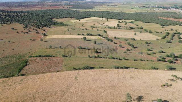 Akören Karahüyükde 1.961 M2 Müstakil Tapulu Tarla 3
