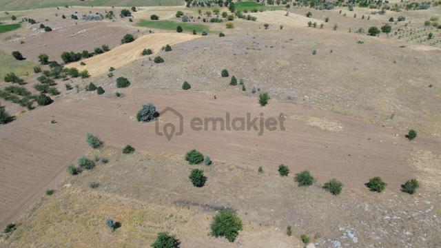 Tülce'de 4.623 M² Kupon Tarla Tek Tapulu Yatırıma Bahçeliğe Uygun 2