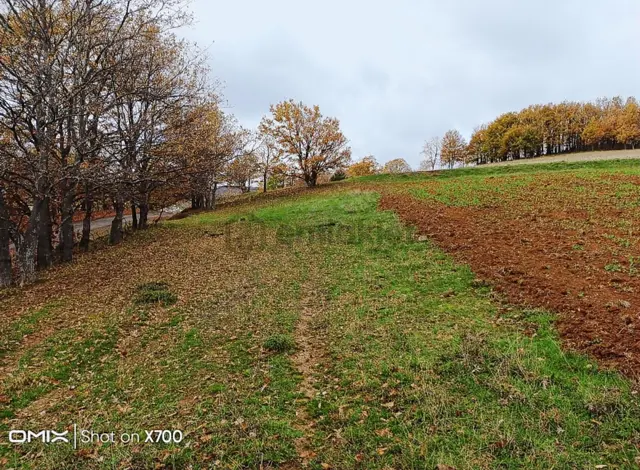 Bursa,iznik,mecidiye Satılık Tarla 2