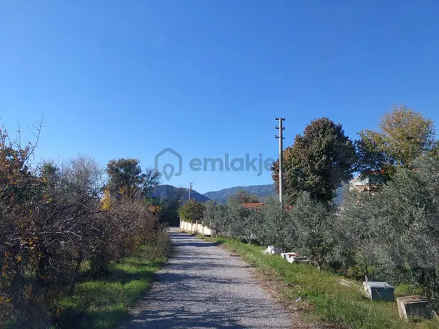Mugla Dalyan Da 150 M2 İnşaat Hakkı Olan 4 500 M2 Arazi Satılık Veya Takas 3