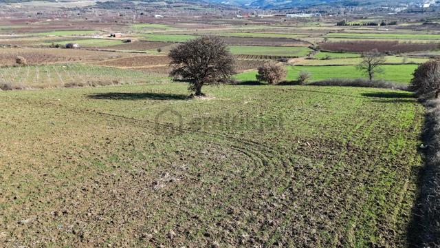 Çanakkale Kangırlı’da 6975 M2 Satılık Tarla 3