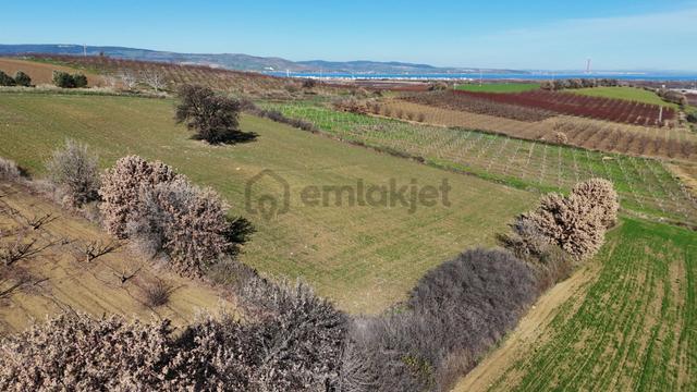 Çanakkale Kangırlı’da 6975 M2 Satılık Tarla 5