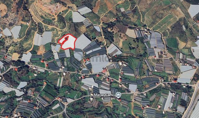 Macar'da 11.590 M² Hazır Kurulu Düzen Kapalı Muz Serası 2
