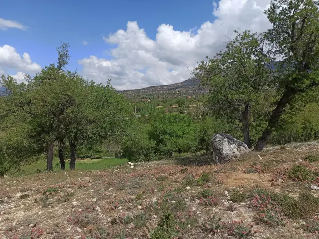 Satılık Fırsat Tarla Ermenek Guneyyurt 2