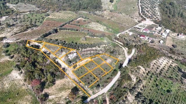 İzmir Menderes Çatalcada Elektrik Sulu Tapudan Satışlı Alt-sat Gelir Bahçeler 5